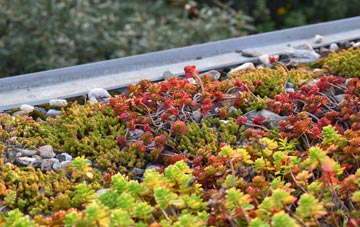 the cost of Achmelvich green roof installation