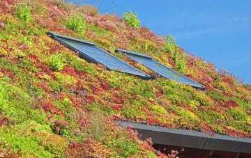 Achmelvich living roof systems