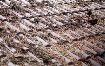 Achmelvich roof cleaning companies